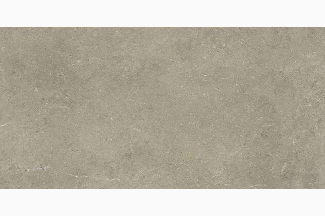 FREISTIL TAUPE MAT 60x120